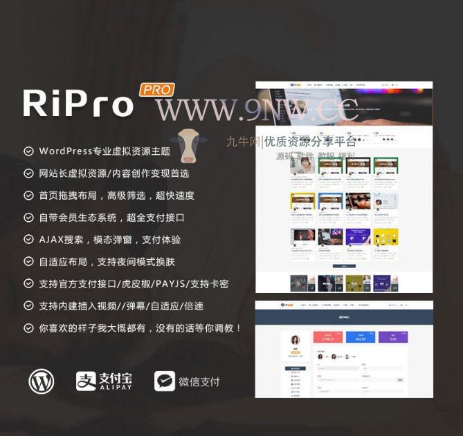 日主题RiPro 4.9最新破解授权无限制版本更新V4.9,WordPress,第1张