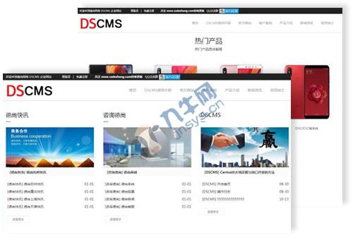 DSMall多铺、DSShop单店铺商城系统、DSCms企业站内容管理系统,第3张