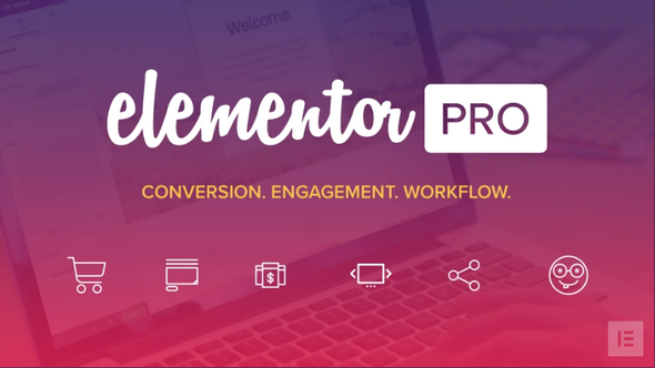 【WordPress插件】Elementor Pro 可视化拖拽编辑器专业版 v2.10.0,WordPress,第1张