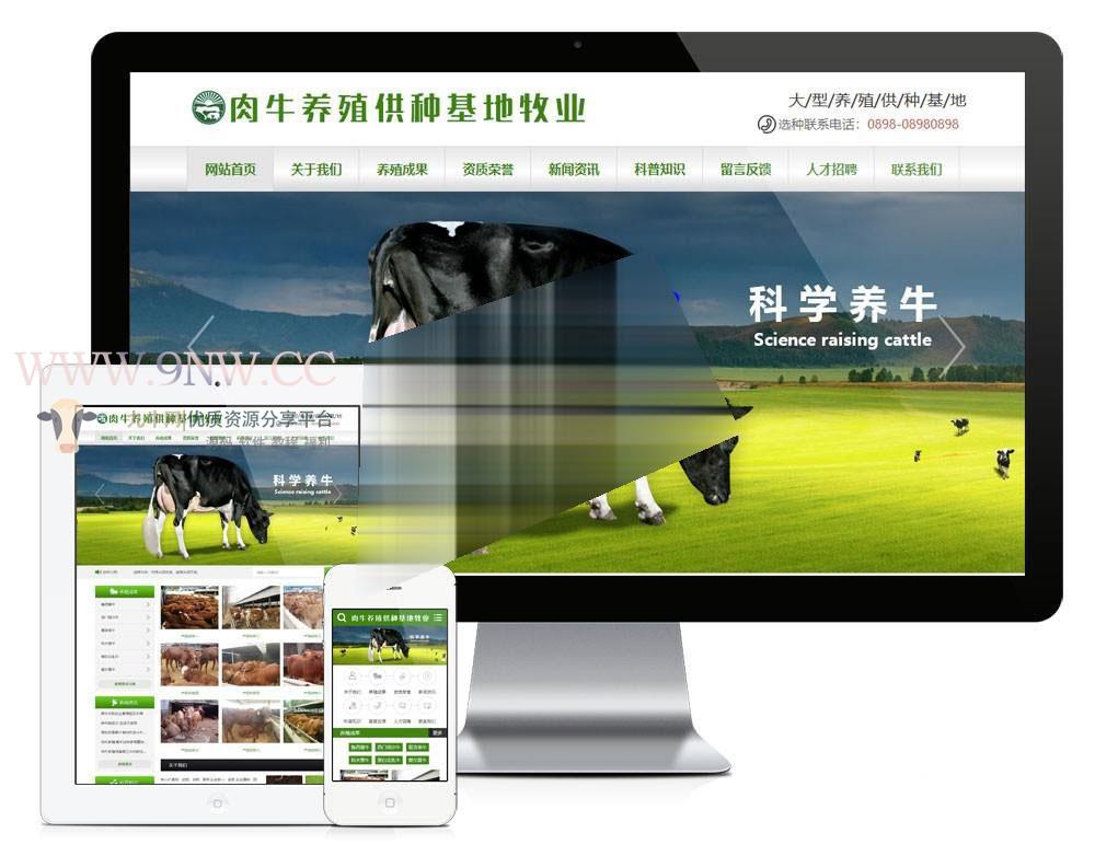 易优cms肉牛养殖供种基地牧业公司网站模板源码 带手机端,php源码,企业网站,eyoucms,第1张
