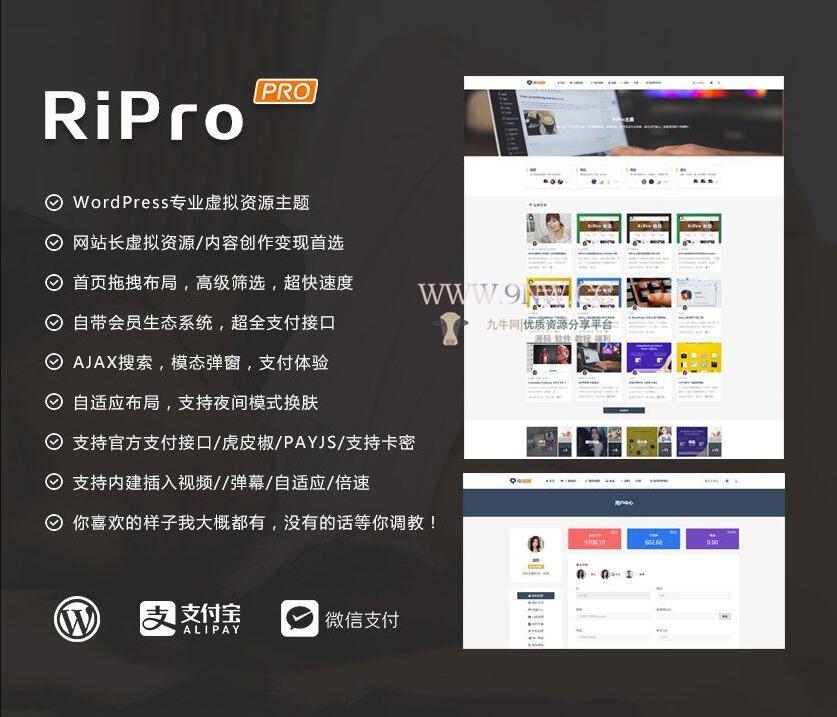 WordPress主题RiPro v8.6 无限制版,php源码,WordPress,第1张