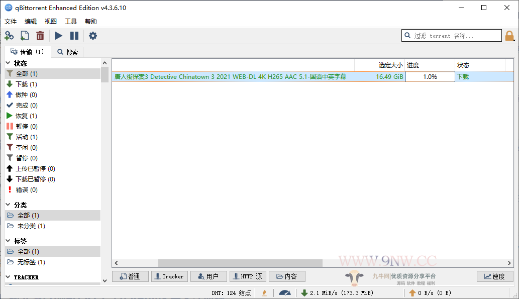 磁力BT下载搜索工具qBittorrent 4.3.6.10 绿色便携增强版,下载软件,第14张